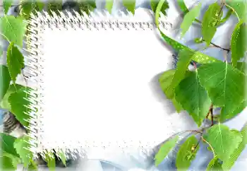 Foto effect van de categorie Zomer № 132911 Foto effect van de categorie Zomer № 132911
