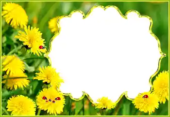 Foto effect van de categorie Zomer № 132994 Foto effect van de categorie Zomer № 132994