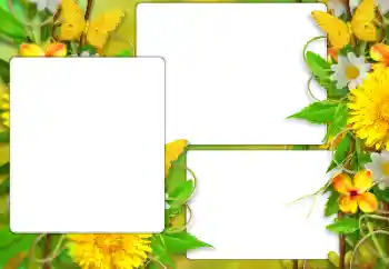 Foto effect van de categorie Zomer № 138523 Foto effect van de categorie Zomer № 138523