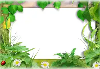 Foto effect van de categorie Zomer № 138647 Foto effect van de categorie Zomer № 138647