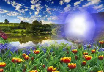 Foto effect van de categorie Zomer № 13960