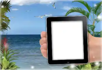 Foto effect van de categorie Zomer № 151651