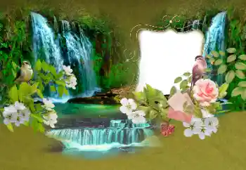 Foto effect van de categorie Zomer № 153156