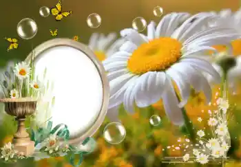 Foto effect van de categorie Zomer № 153157