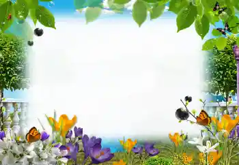 Foto effect van de categorie Zomer № 153205