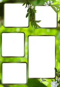 Foto effect van de categorie Zomer № 153242
