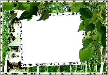 Foto effect van de categorie Zomer № 154334