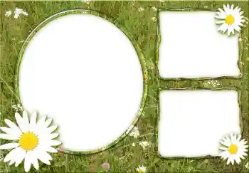 Foto effect van de categorie Zomer № 166475 Foto effect van de categorie Zomer № 166475