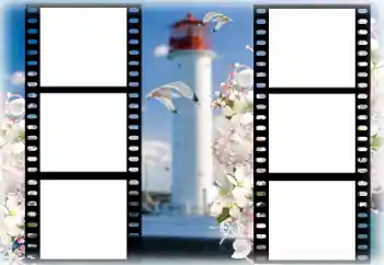Foto effect van de categorie Zomer № 167969 Foto effect van de categorie Zomer № 167969