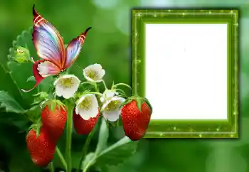 Foto effect van de categorie Zomer № 168002 Foto effect van de categorie Zomer № 168002
