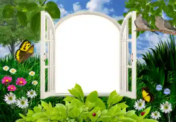 Foto effect van de categorie Zomer № 16945