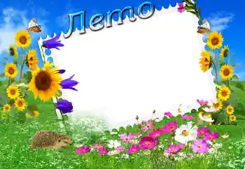 Foto effect van de categorie Zomer № 18193. Opschrift op de lijst: Zomer