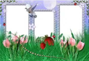 Foto effect van de categorie Zomer № 2396