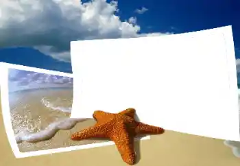 Foto effect van de categorie Zomer № 25435