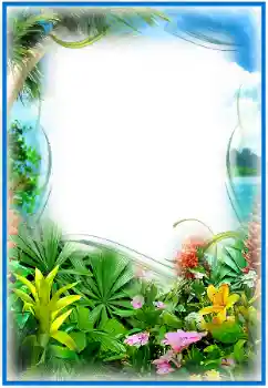 Foto effect van de categorie Zomer № 25474