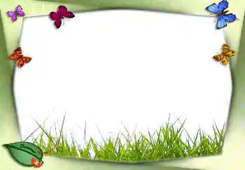 Foto effect van de categorie Zomer № 2756