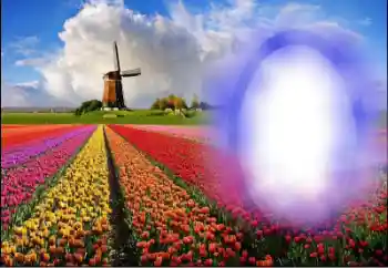 Foto effect van de categorie Zomer № 36251 Foto effect van de categorie Zomer № 36251