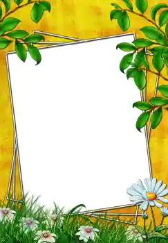 Foto effect van de categorie Zomer № 3772
