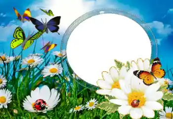 Foto effect van de categorie Zomer № 40377 Foto effect van de categorie Zomer № 40377