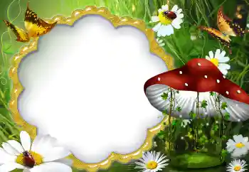 Foto effect van de categorie Zomer № 5072