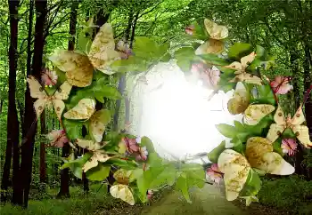 Foto effect van de categorie Zomer № 5287