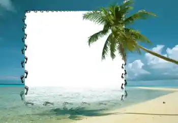 Foto effect van de categorie Zomer № 57676