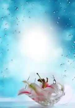 Foto effect van de categorie Zomer № 64487