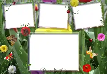Foto effect van de categorie Zomer № 66987