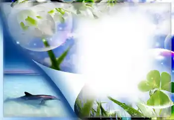 Foto effect van de categorie Zomer № 67330