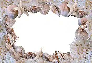 Foto effect van de categorie Zomer № 88088