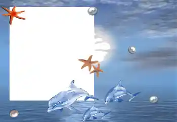Foto effect van de categorie Zomer № 88120