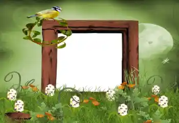 Foto effect van de categorie Zomer № 9650