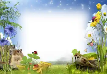 Foto effect van de categorie Zomer № 97486 Foto effect van de categorie Zomer № 97486