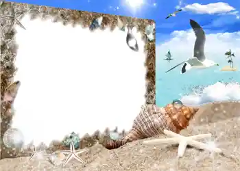 Foto effect van de categorie Zomer № 987