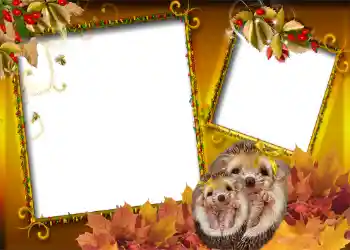 Foto effect van de categorie Herfst № 1006 Foto effect van de categorie Herfst № 1006