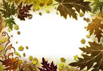 Foto effect van de categorie Herfst № 101278