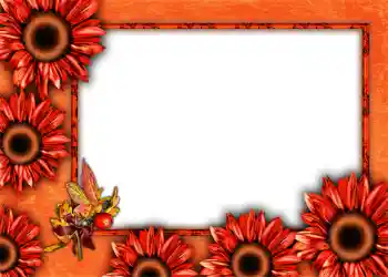 Foto effect van de categorie Herfst № 1012 Foto effect van de categorie Herfst № 1012