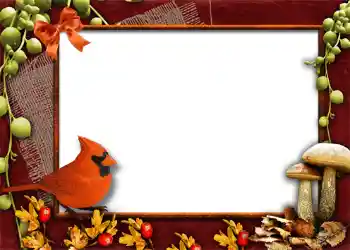 Foto effect van de categorie Herfst № 1013 Foto effect van de categorie Herfst № 1013