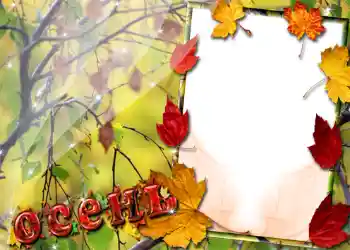 Foto effect van de categorie Herfst № 1016 Foto effect van de categorie Herfst № 1016