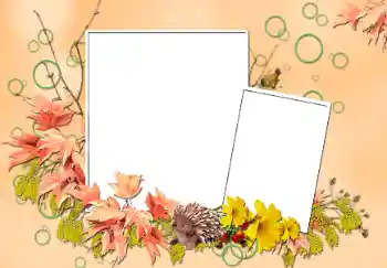 Foto effect van de categorie Herfst № 103852