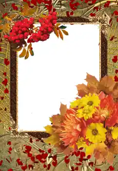 Foto effect van de categorie Herfst № 103855