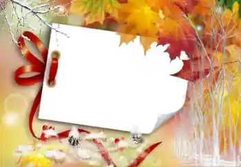 Foto effect van de categorie Herfst № 104121 Foto effect van de categorie Herfst № 104121