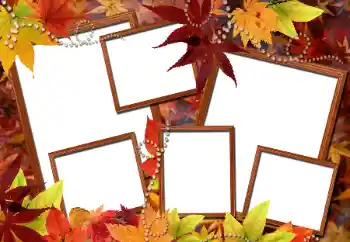 Foto effect van de categorie Herfst № 112976 Foto effect van de categorie Herfst № 112976