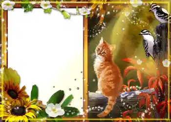 Foto effect van de categorie Herfst № 1130 Foto effect van de categorie Herfst № 1130