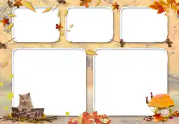 Foto effect van de categorie Herfst № 117689 Foto effect van de categorie Herfst № 117689