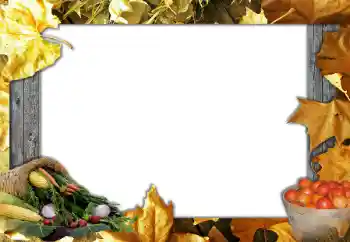 Foto effect van de categorie Herfst № 127051 Foto effect van de categorie Herfst № 127051