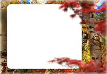 Foto effect van de categorie Herfst № 127331