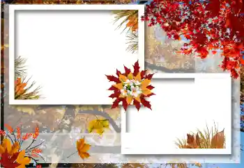 Foto effect van de categorie Herfst № 12922 Foto effect van de categorie Herfst № 12922