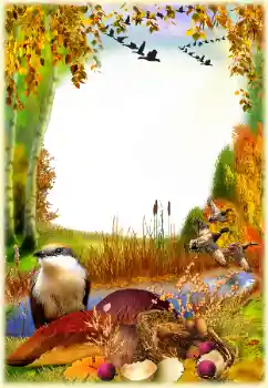 Foto effect van de categorie Herfst № 129768