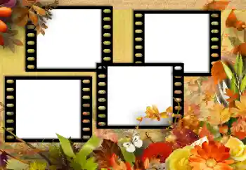 Foto effect van de categorie Herfst № 131752